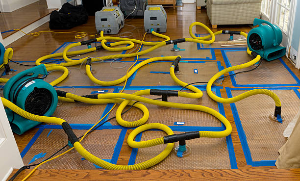 Professional Crawl Space Water Removal technician working in Orrick, MO